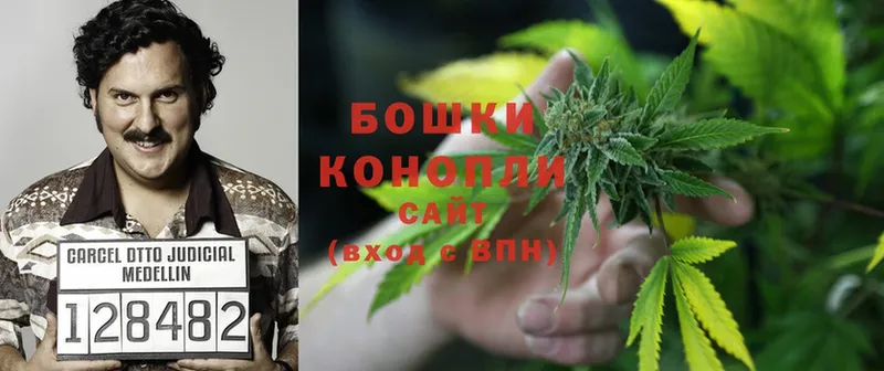 МАРИХУАНА White Widow  где найти наркотики  Миллерово 